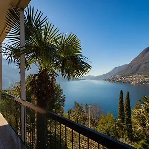 The Palm Apartment